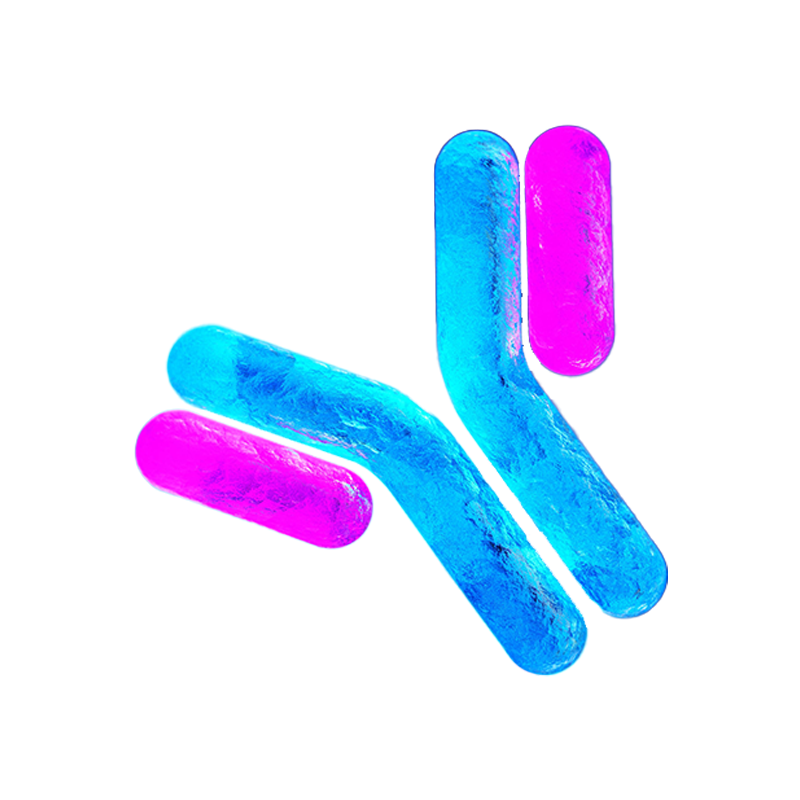 Protein Purification